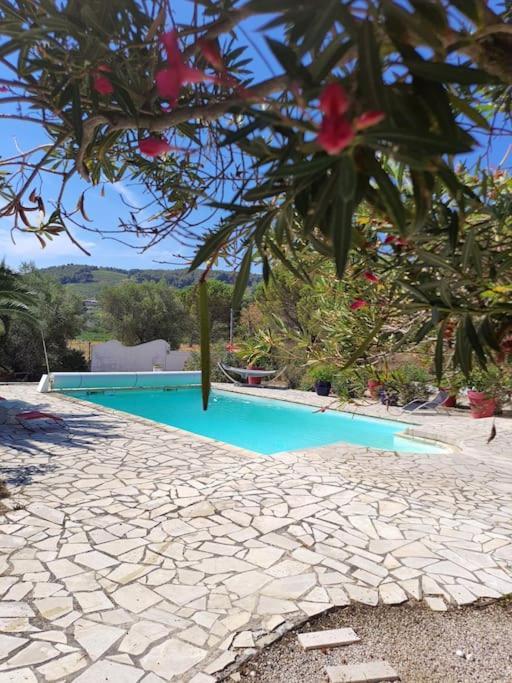 Logement La Belle Provence Le Beausset Dış mekan fotoğraf