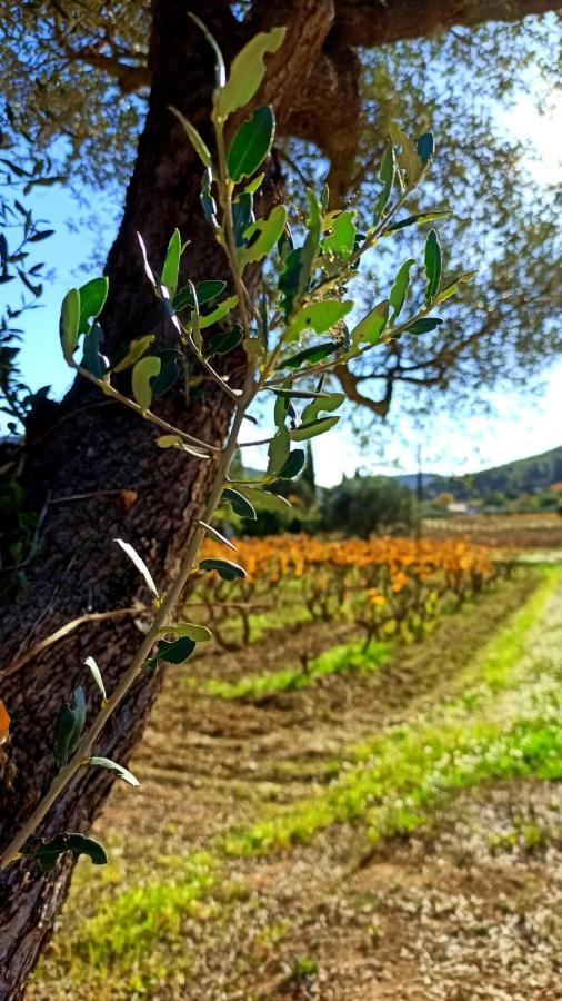 Logement La Belle Provence Le Beausset Dış mekan fotoğraf