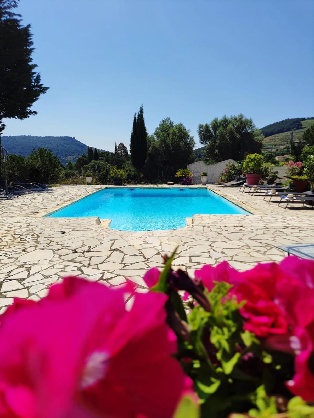 Logement La Belle Provence Le Beausset Dış mekan fotoğraf